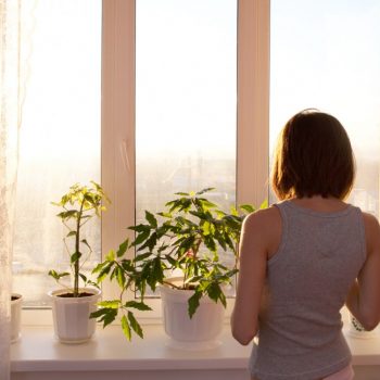 girl looking out window